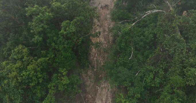 Aerial view of landslide forest mountain after typhoon