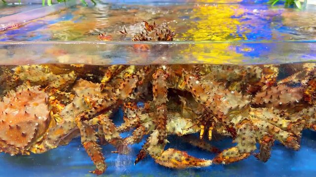 Live Crabs and Shrimp in Restaurant Aquarium &ndash; Chinese Seafood Selection