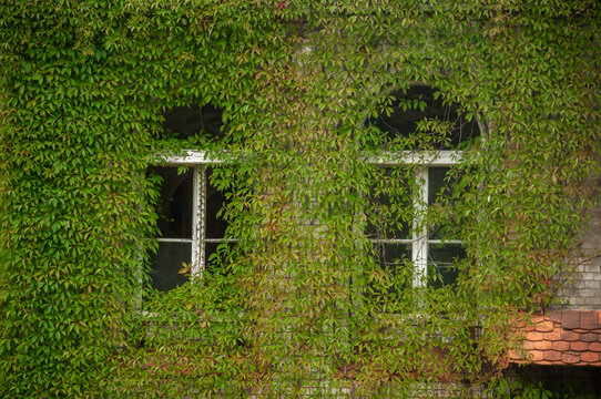 Abandoned overgrown mansion with spiral staircase, old car and ruined interior