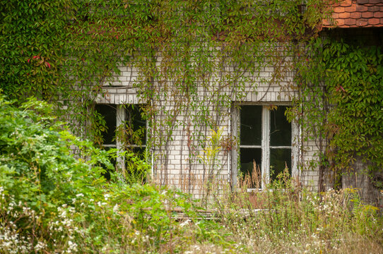 Abandoned overgrown mansion with spiral staircase, old car and ruined interior