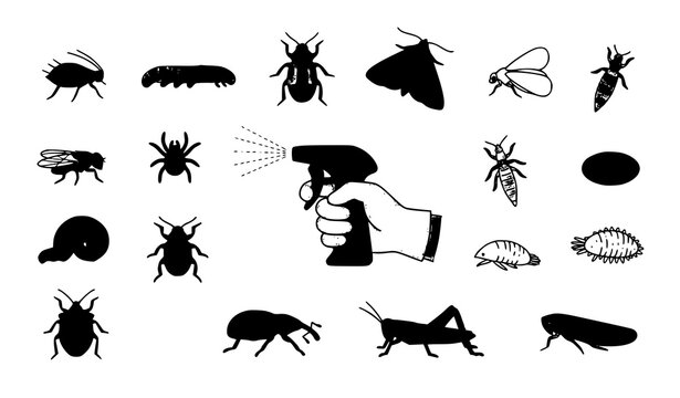 Garden Pest Sprayer and Common Insect Pests Outline Vector Collection