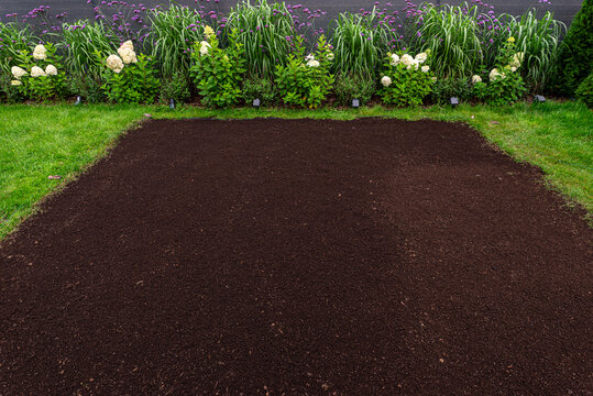 Preparing soil for sowing new grass seeds