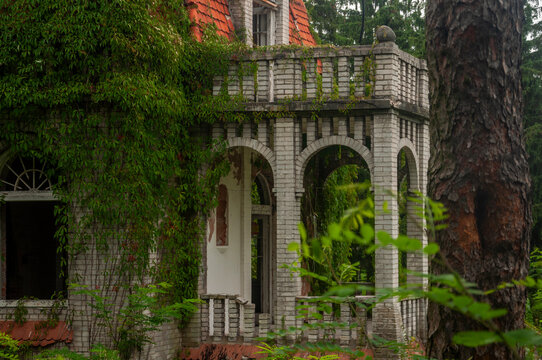 Abandoned overgrown mansion with spiral staircase, old car and ruined interior
