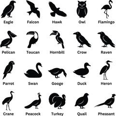 Fototapeta premium Black bird silhouettes set, 20 avian species icons with labels, minimalist eagle and owl vector collection for educational design