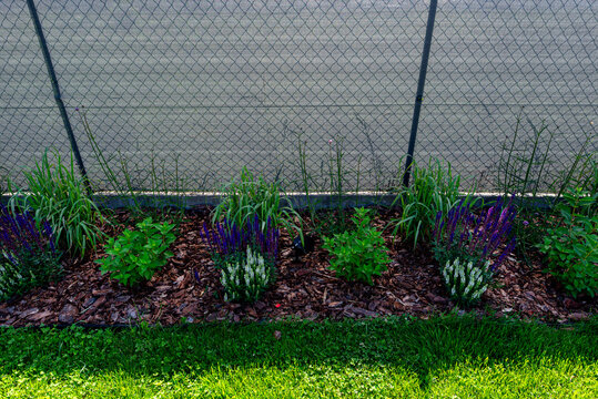 Garden landscaping with mulch, flowers and green grass