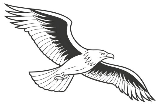 Soaring bald eagle black and white line art illustration featuring spread wings for wildlife conservation posters or outdoor adventure logos.