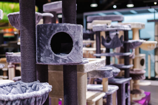 Gray Cat Tree Cubby and Scratching Posts Display
