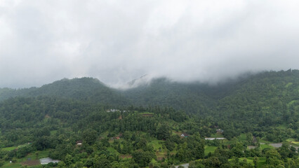 A breathtaking panoramic landscape of lush green mountains covered in dense forest, with thick mist and low clouds drifting across the hills. © Grower