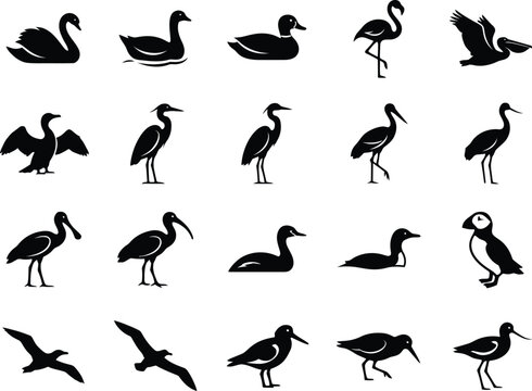Water bird silhouette icons, set of 20 aquatic bird vector illustrations, black waterfowl and shorebird symbols for nature design