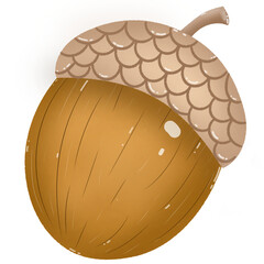 Acorn isolated on transparent background, cute brown nut vector illustration  © Sirilak