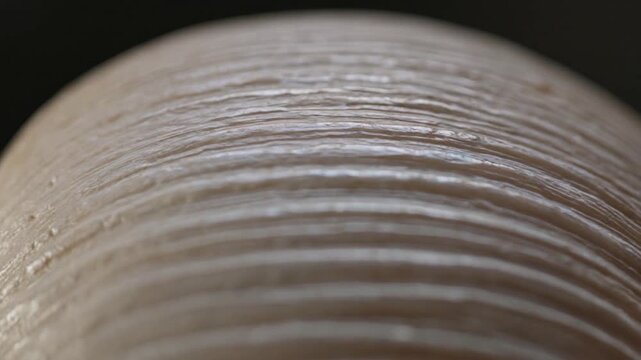 Mother of Pearl Nacre Layers, Macro Close-Up, 4K Stock Video