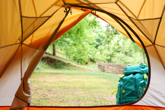 View from inside tent on beautiful forest