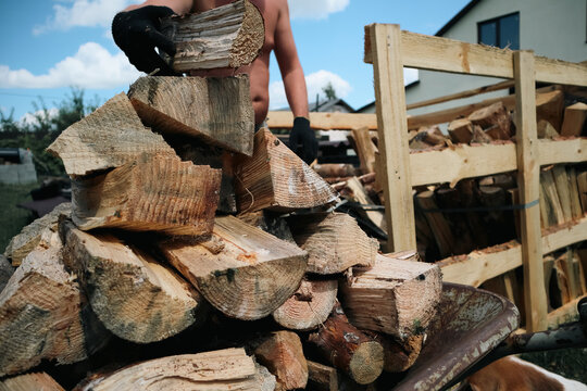 Man wearing protective gloves stacking split wooden logs onto rack preparing firewood in backyard