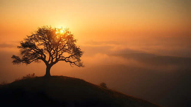 Lone tree standing on hill silhouette against glowing sunset and morning mist across scenic landscape