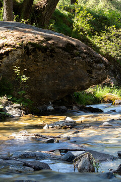 Forest stream flowing over rocks beside moss‑covered boulder under filtered sunlight