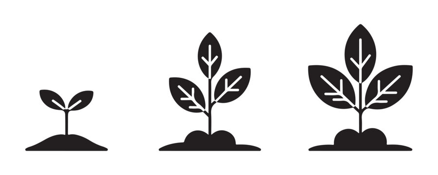 Plant growth stages icons showing seedling development in soil for gardening and ecology themes.