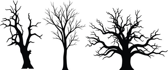 Fototapeta premium Black Leafless Tree Silhouette Collection Featuring Three Unique Bare Branching Trees on White Background