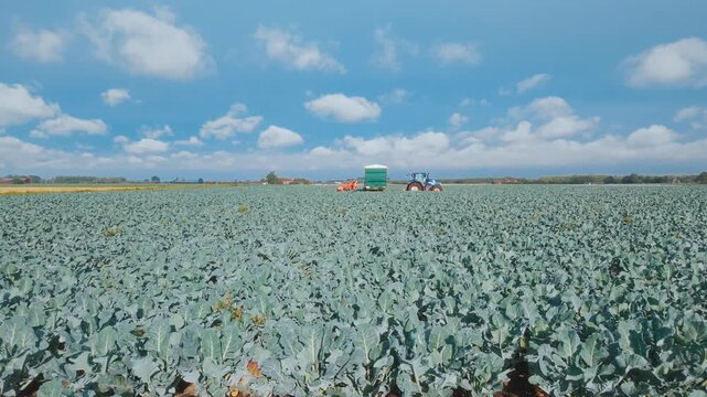 Vast green field under bright blue sky with fluffy clouds