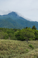 日本　北海道斜里町の知床五湖高架木道から望む雲がかかった初夏の知床連山 © pespiero
