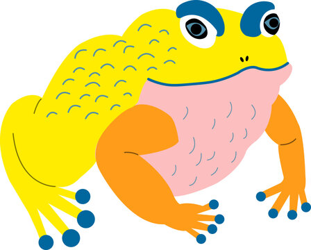 toad