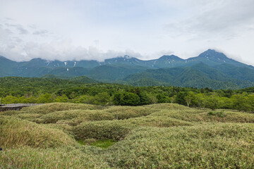 日本　北海道斜里町の知床五湖高架木道から望む雲がかかった初夏の知床連山 © pespiero