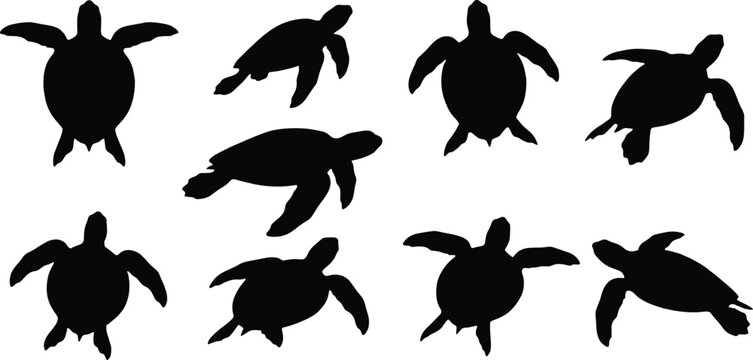 Black silhouettes of sea turtles in various swimming poses and angles, isolated on a white background