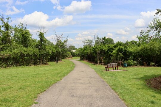 A long empty walkway in the park on a sunny day.