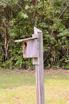 A close view of the old wood birdhouse.