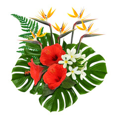 Hibiscus, strelitzia and plumeria flowers with green tropical leaves on white background. Floral composition © New Africa