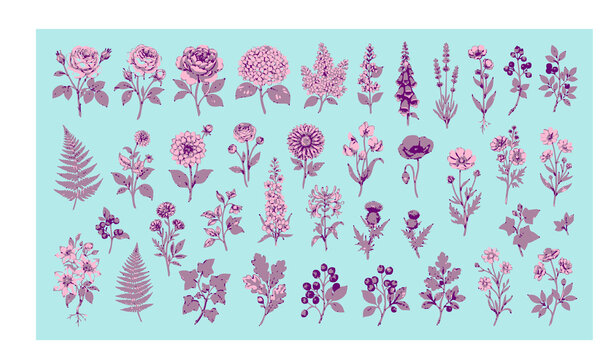 Untitled design - 2Early spring forest and garden flowers vector set isolated on white background