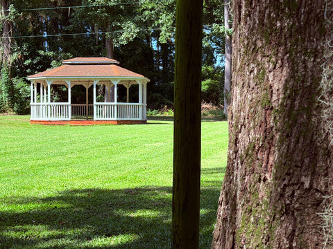 SC LV Moss Pole Tree Gazebo 2026