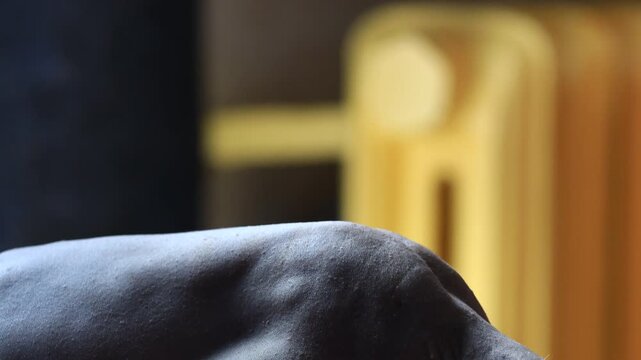 Close-up of a hairless cat sitting on a table