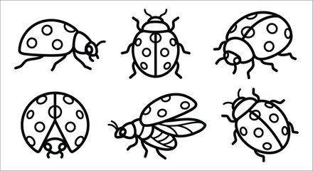 Fototapeta premium Line art illustrations of ladybugs and a bee on a white background