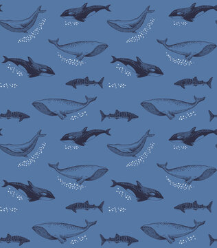 Seamless pattern with handdrawn whales and sharks on a blue background
