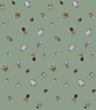 Seamless pattern with various colorful beetles on a sage green background
