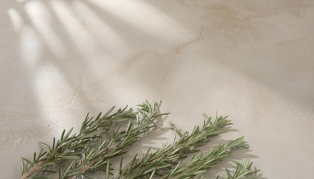 Fresh rosemary on pale grey microcement concrete with top copy space