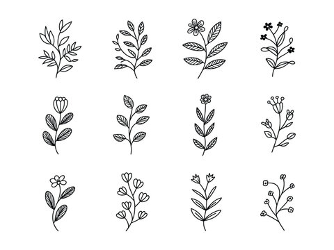 Floral ornament line border set. Hand drawn line doodle style floral divider elements. Flower, vine leaf ornament border frame text vintage flourish decoration. Vector illustration

