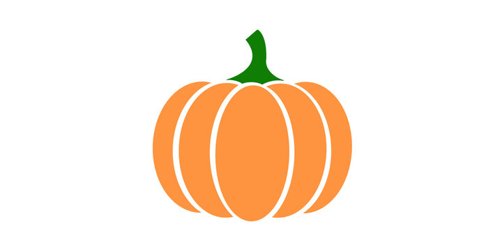 Autumn pumpkin flat icon orange and green for thanksgiving decoration.