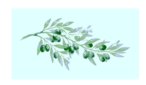 Untitled design - 2Organic Mediterranean Olive Branch Watercolor Vector Illustration