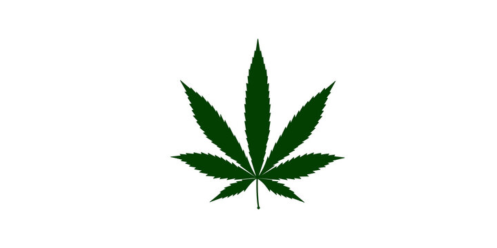 Green cannabis leaf vector illustration for natural herbal medicine.
