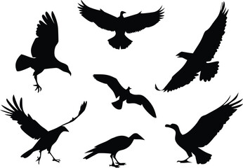 Naklejka premium Set of silhouettes of birds on a white background