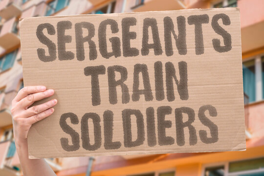 "Sergeants train soldiers" NCOs are responsible for individual training. SERGEANT. TRAINING. SOLDIER. STANDARD. DISCIPLINE.