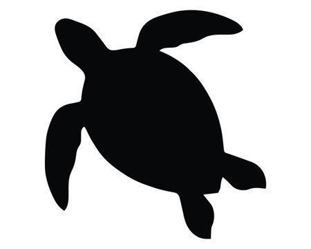 Black turtle silhouette against a white background silhouette