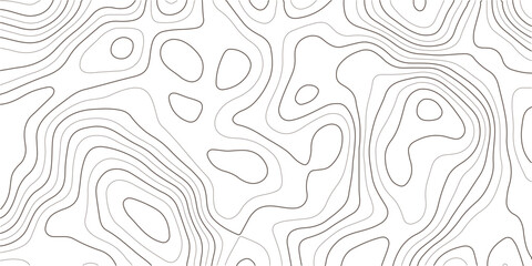 Topographic map pattern with thin curved contour lines, abstract grey landscape vector illustration on white background, minimalist geography seamless texture © MD.HUZZATULLAHISLAM