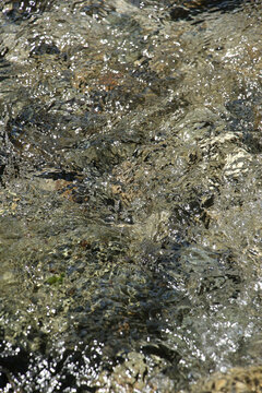 Clear river water with sunlight reflections and stones