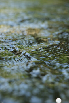 Clear river water with sunlight reflections and stones