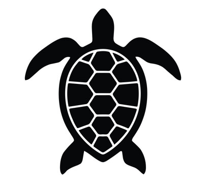 Black turtle top down view a solid silhouette