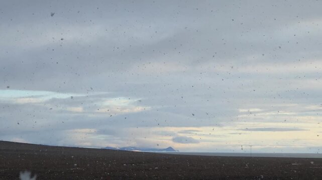 Large Snowflakes Falling Toward Camera