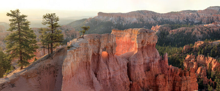 Beautiful wide panoramic view of a sandstone canyon rock formation with a natural arch window and pine trees at sunrise