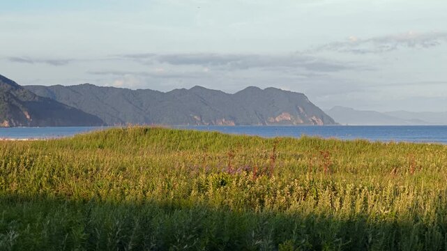草むら越しに海と山を望む風景。
